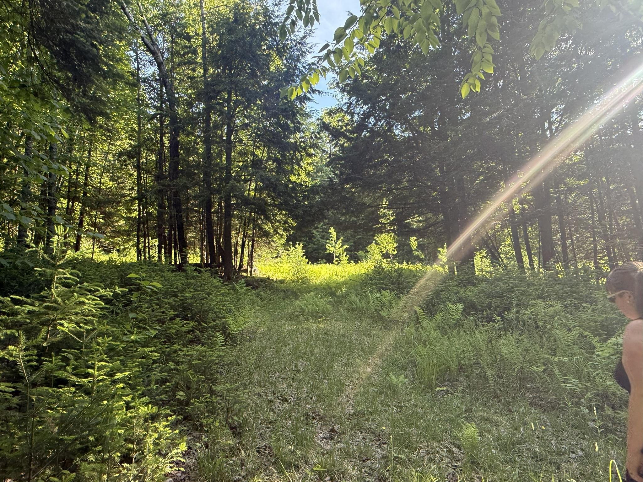 0 Roaring Brook Road Barton, VT 05822 - Photo 8 of 18