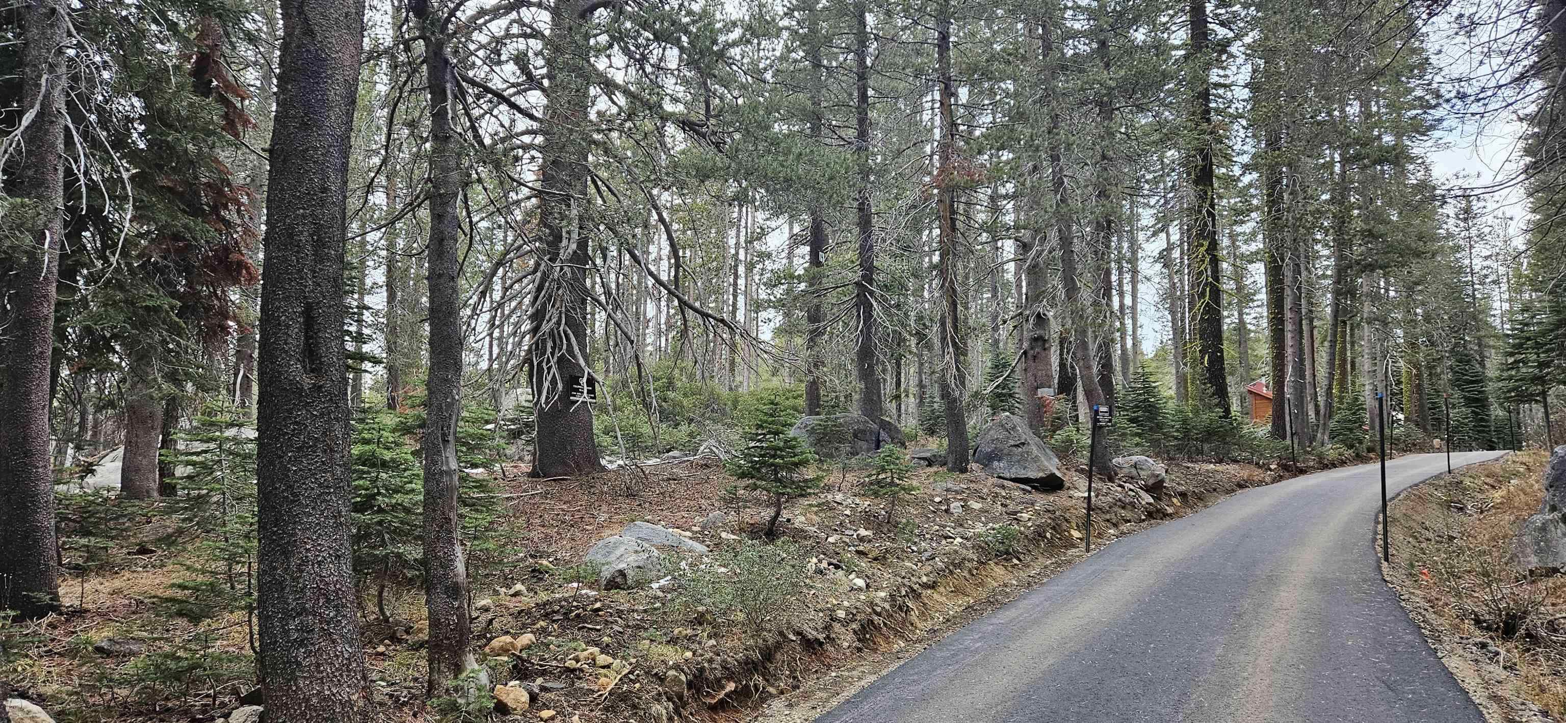 10060 Bunny Hl Road Soda Springs, CA 95728 - Photo 6 of 8 a view of a forest filled with trees