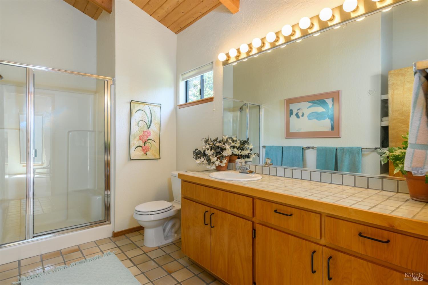 267 Sea Stack The Sea Ranch, CA 95497 - Photo 28 of 35 a spacious bathroom with a granite countertop sink a toilet a mirror and shower