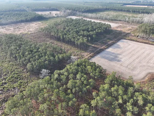 $1,210,000 | 9 Marion Sc 29571, Marion, SC 29571