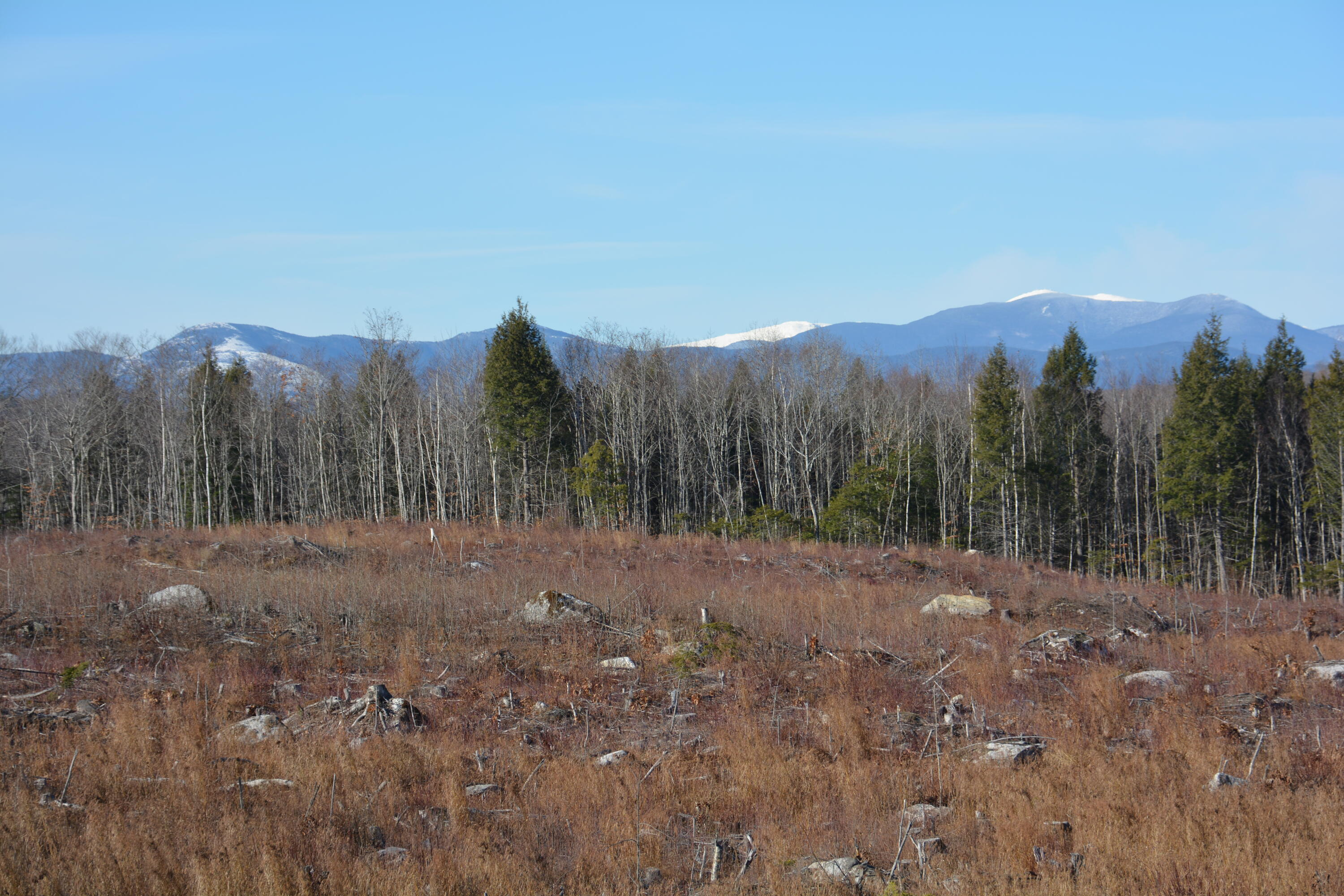 0 French Hill Road Bethel, ME 04217 - Photo 2 of 18 DSC_0149