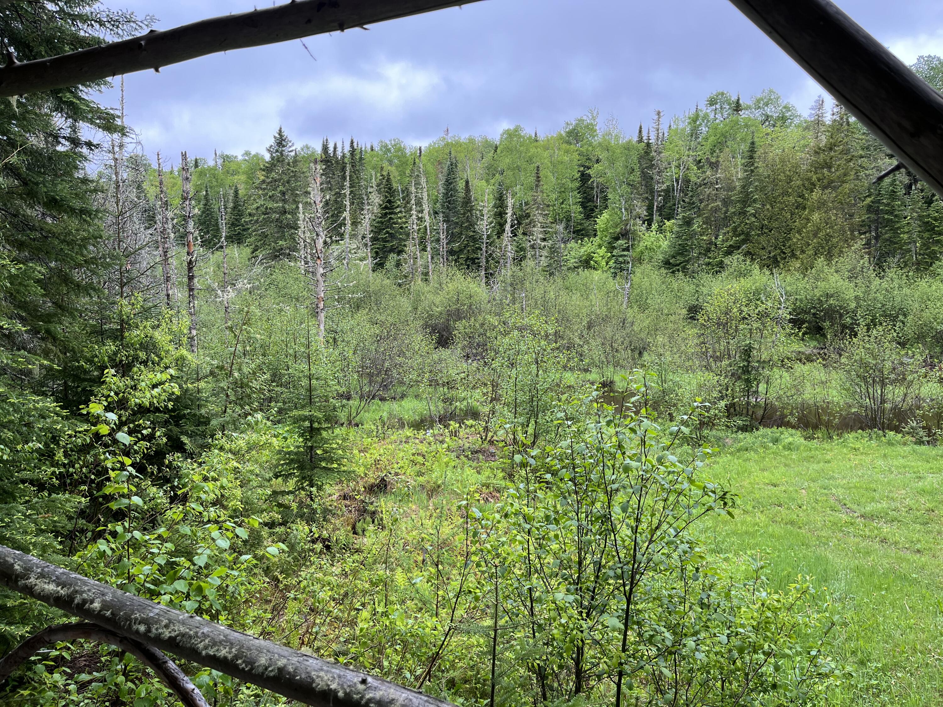 1731 Hamlin Road Van Buren, ME 04785 - Photo 2 of 34 Hamlin property