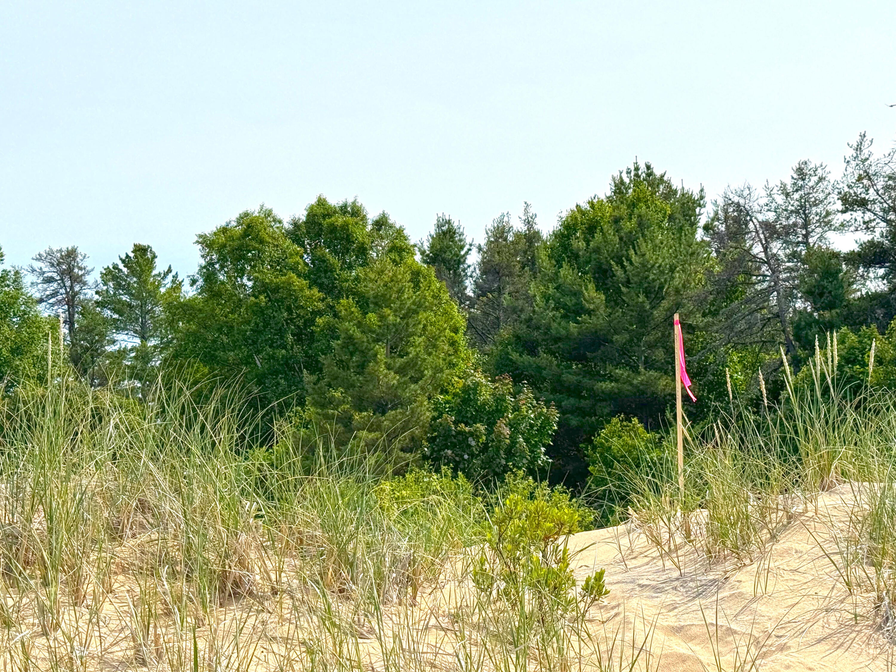 31005 West Wild Cat Road Paradise, MI 49768 - Photo 19 of 90 Gallery Image 19