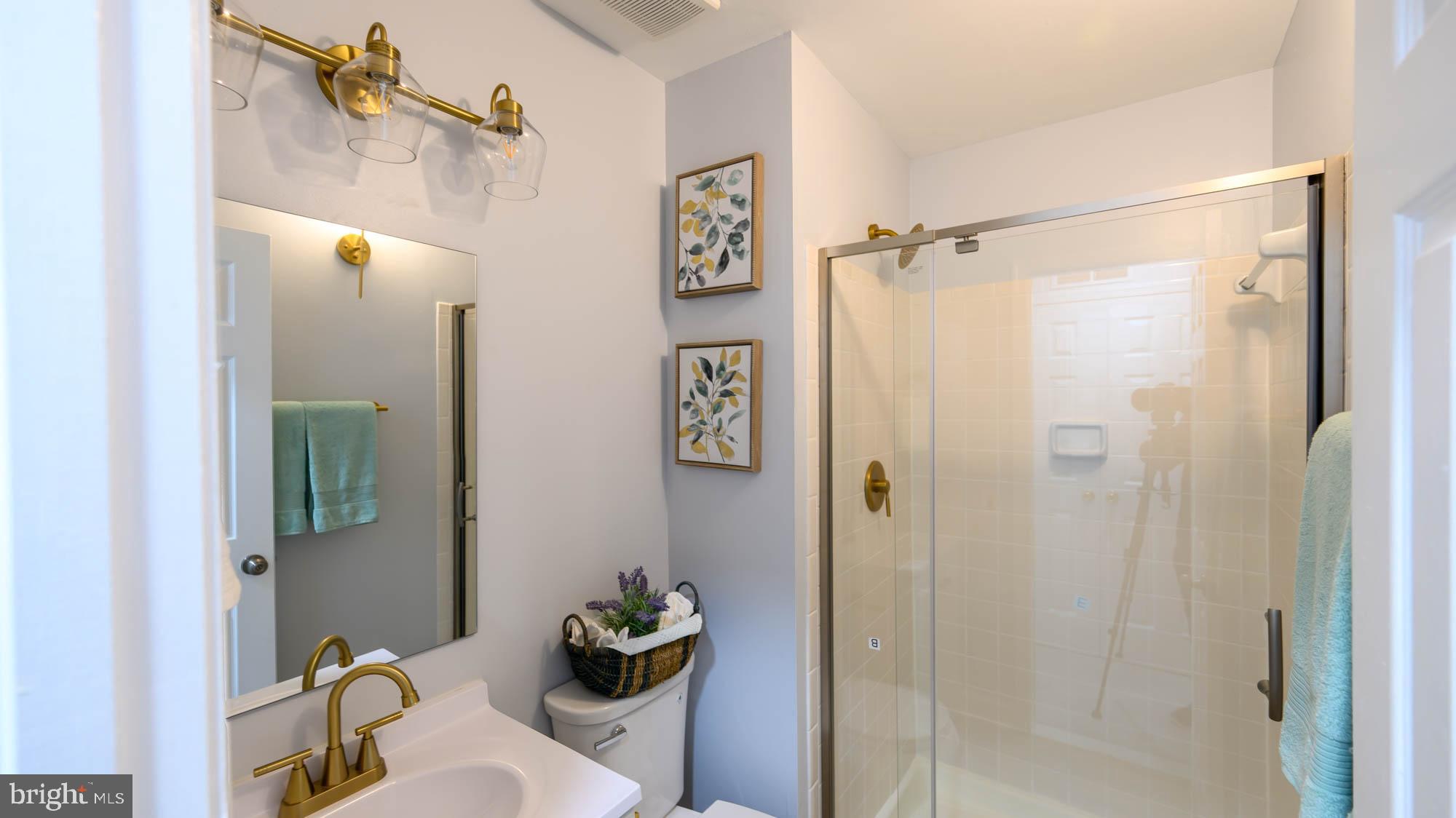 2832 Strauss Terrace Silver Spring, MD 20904 - Photo 59 of 80 Lower Level
Brand New
Full Bath 3