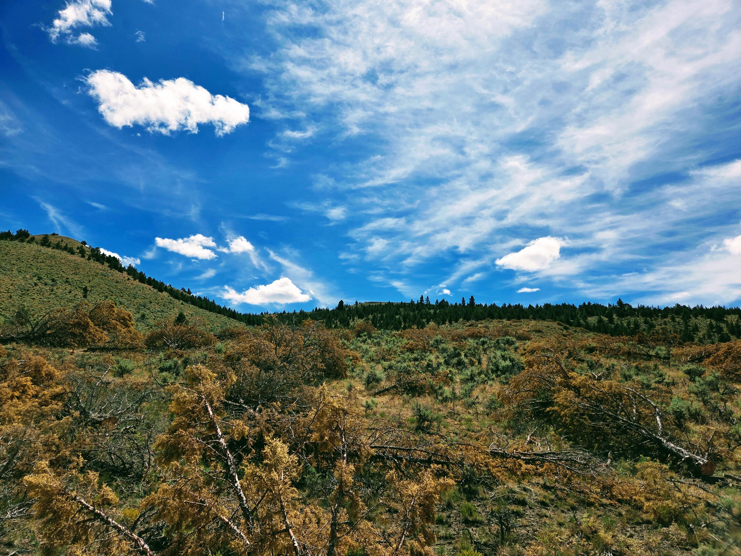 32500 Tackman Road Prineville, OR 97754 - Photo 108 of 112