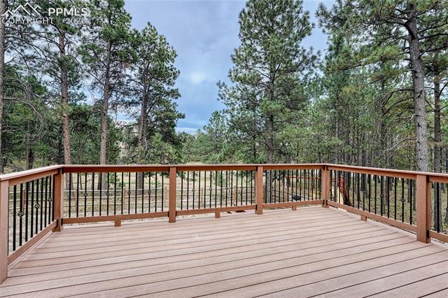 11015 Hungate Road Colorado Springs, CO 80908 - Photo 40 of 47