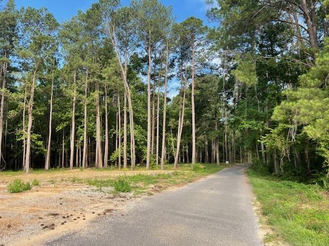 0 Harbor Lane Boyce, LA 71409 - Photo 2 of 5