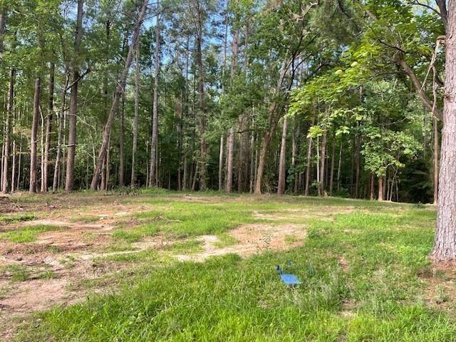 0 Harbor Lane Boyce, LA 71409 - Photo 3 of 5