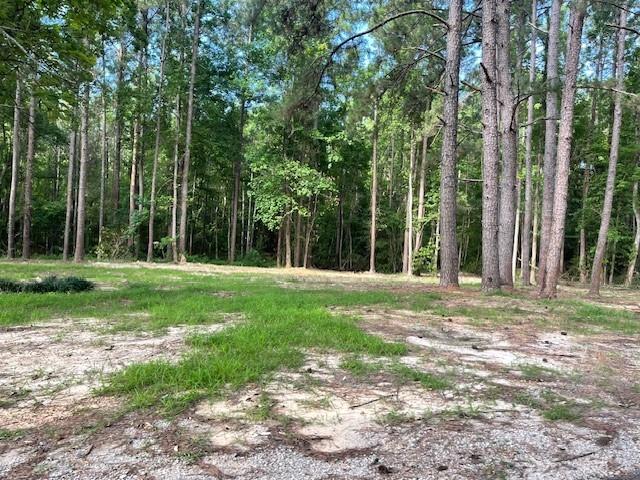 0 Harbor Lane Boyce, LA 71409 - Photo 4 of 5