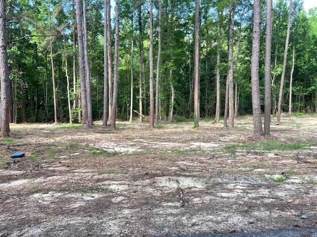 0 Harbor Lane Boyce, LA 71409 - Photo 5 of 5