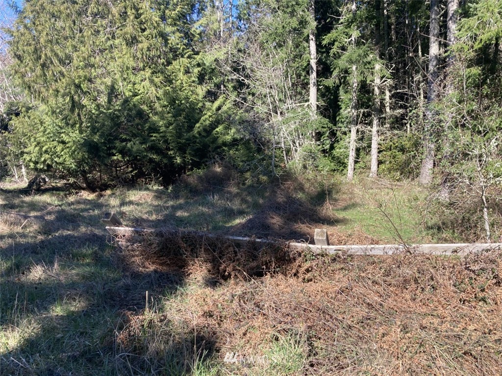 661 Hazel Point Road Quilcene, WA 98376 - Photo 3 of 4 Gallery Image 3