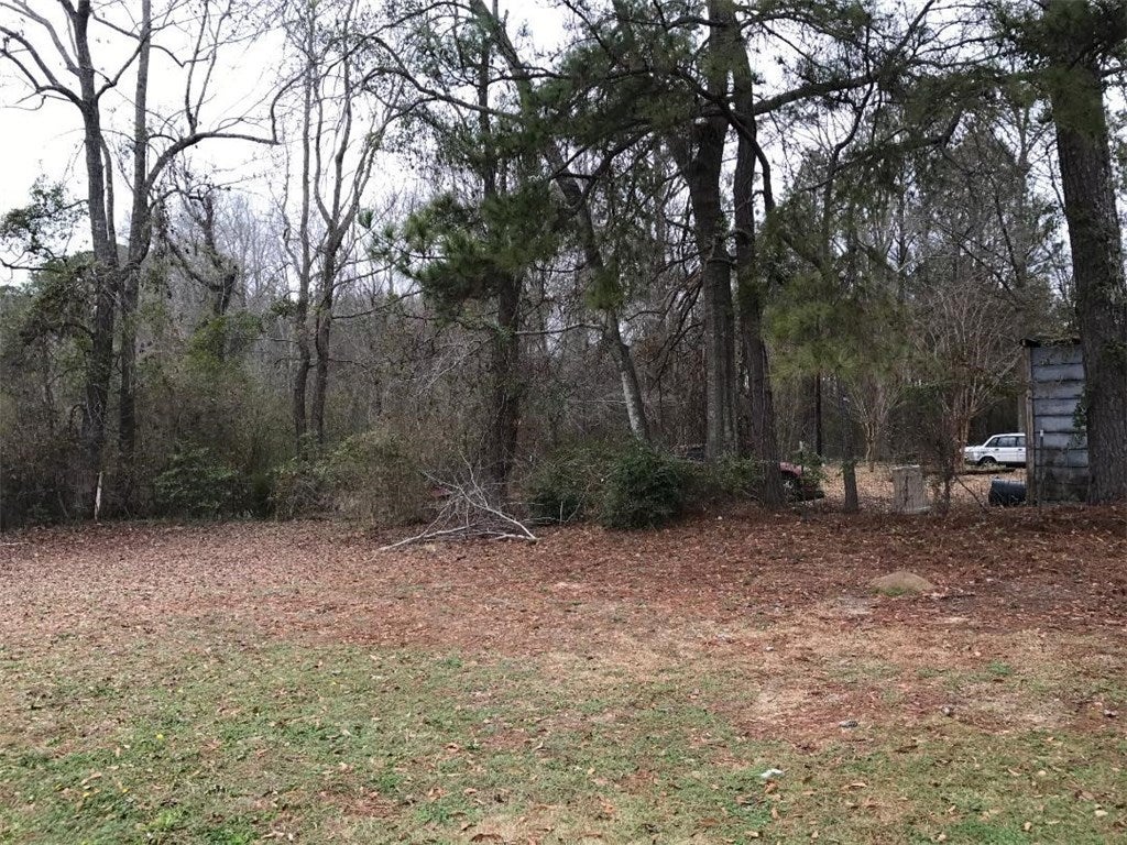196 Willis Turk Road Auburn, AL 36832 - Photo 14 of 18 Gallery Image 14
