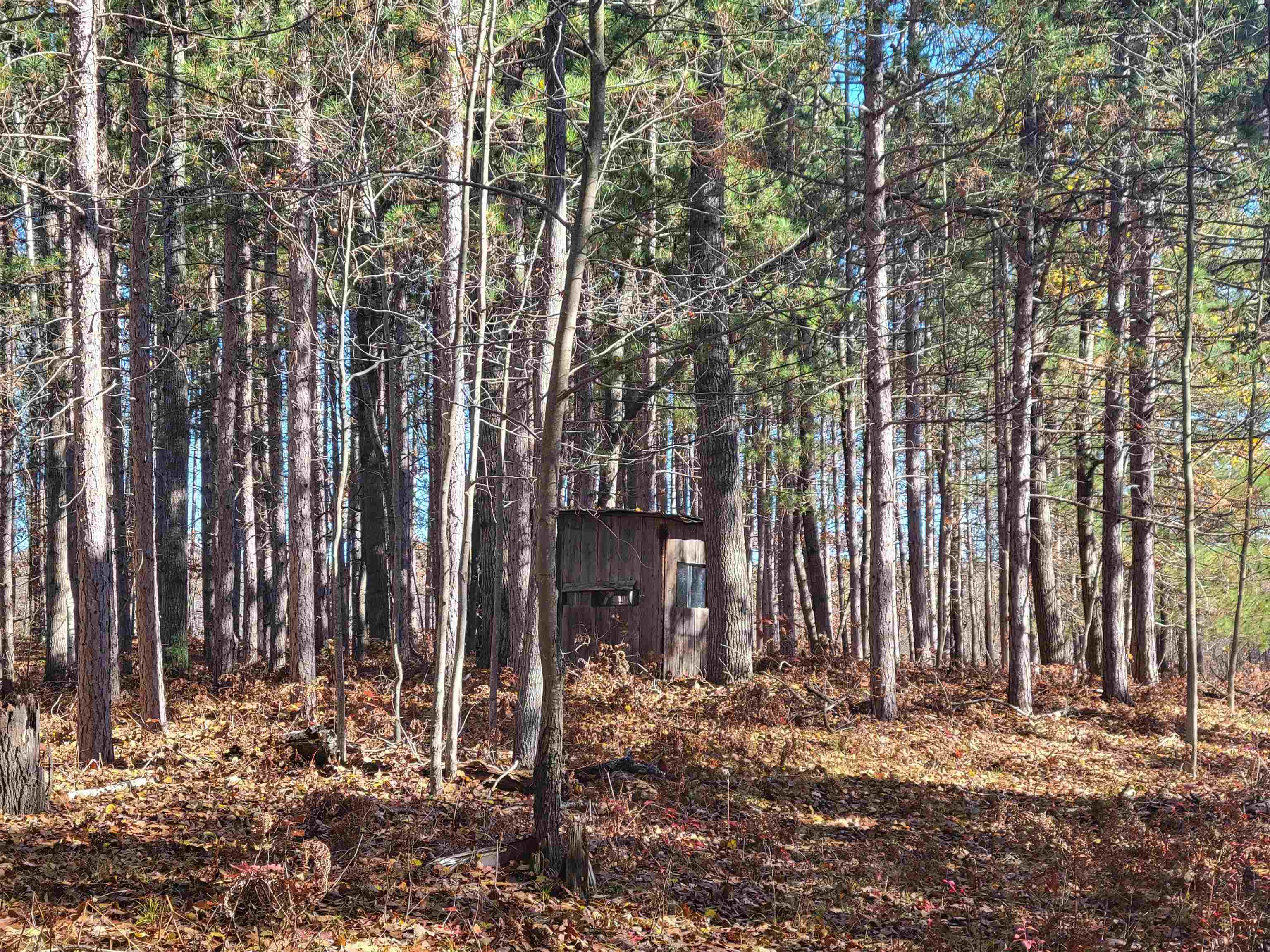 3385 Jones Road Rhodes, MI 48652 - Photo 51 of 56