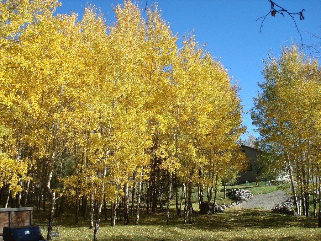 81 Mill Creek Road Sheridan, MT 59749 - Photo 87 of 98 Fall is also a beautiful Time of Year (2025)