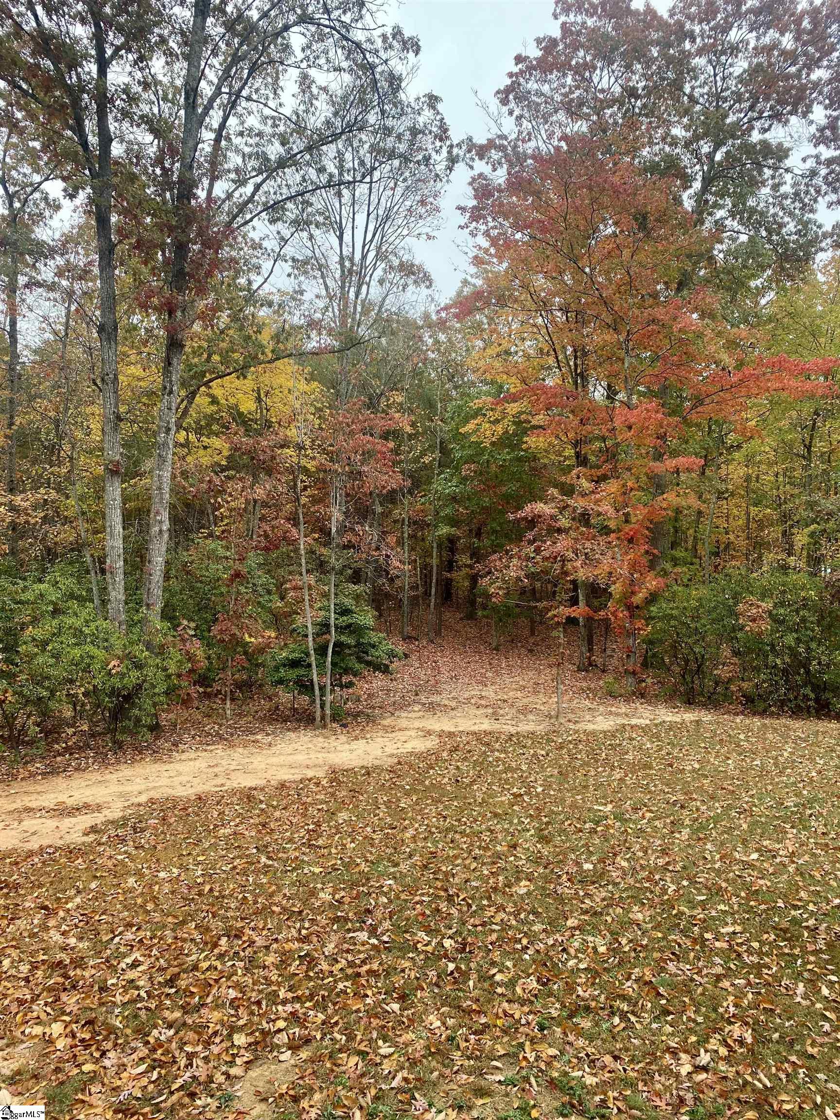 474 Dill Road Landrum, SC 29356 - Photo 3 of 35