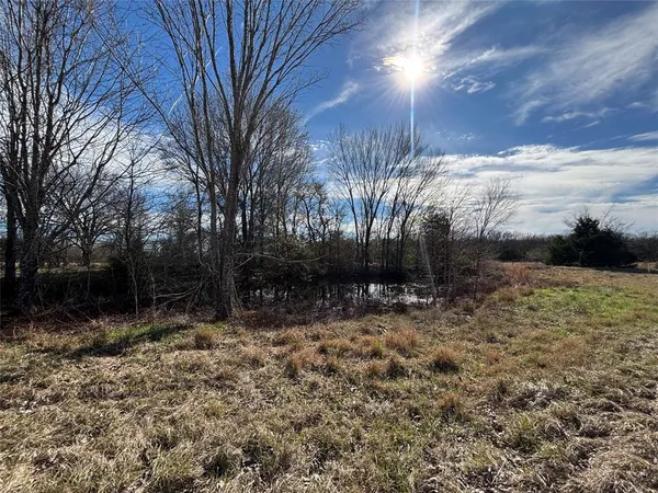 a view of backyard with green space