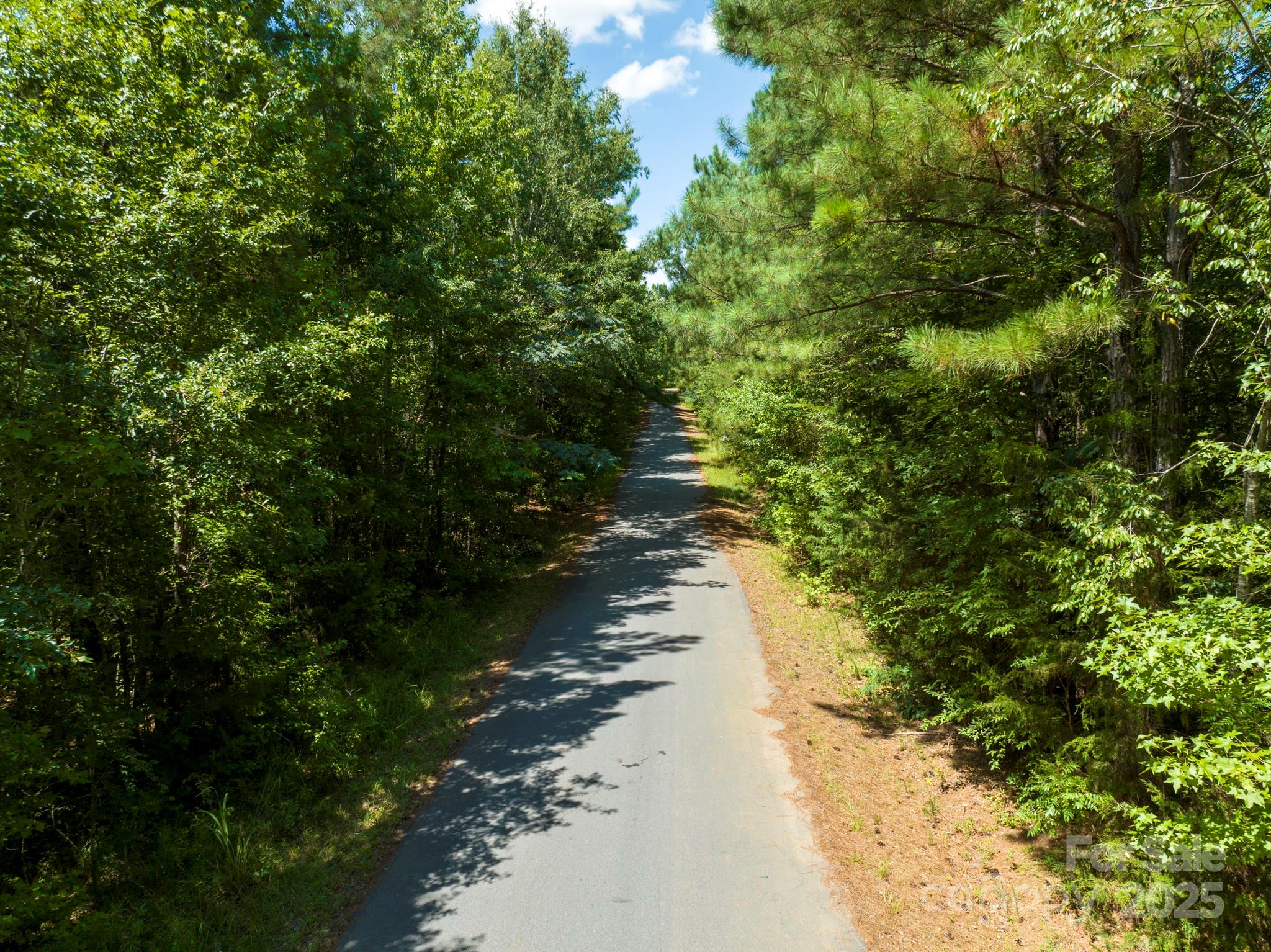 1 Setzler Road Laurens, SC 29360 - Photo 2 of 4 a view of a lake with beach