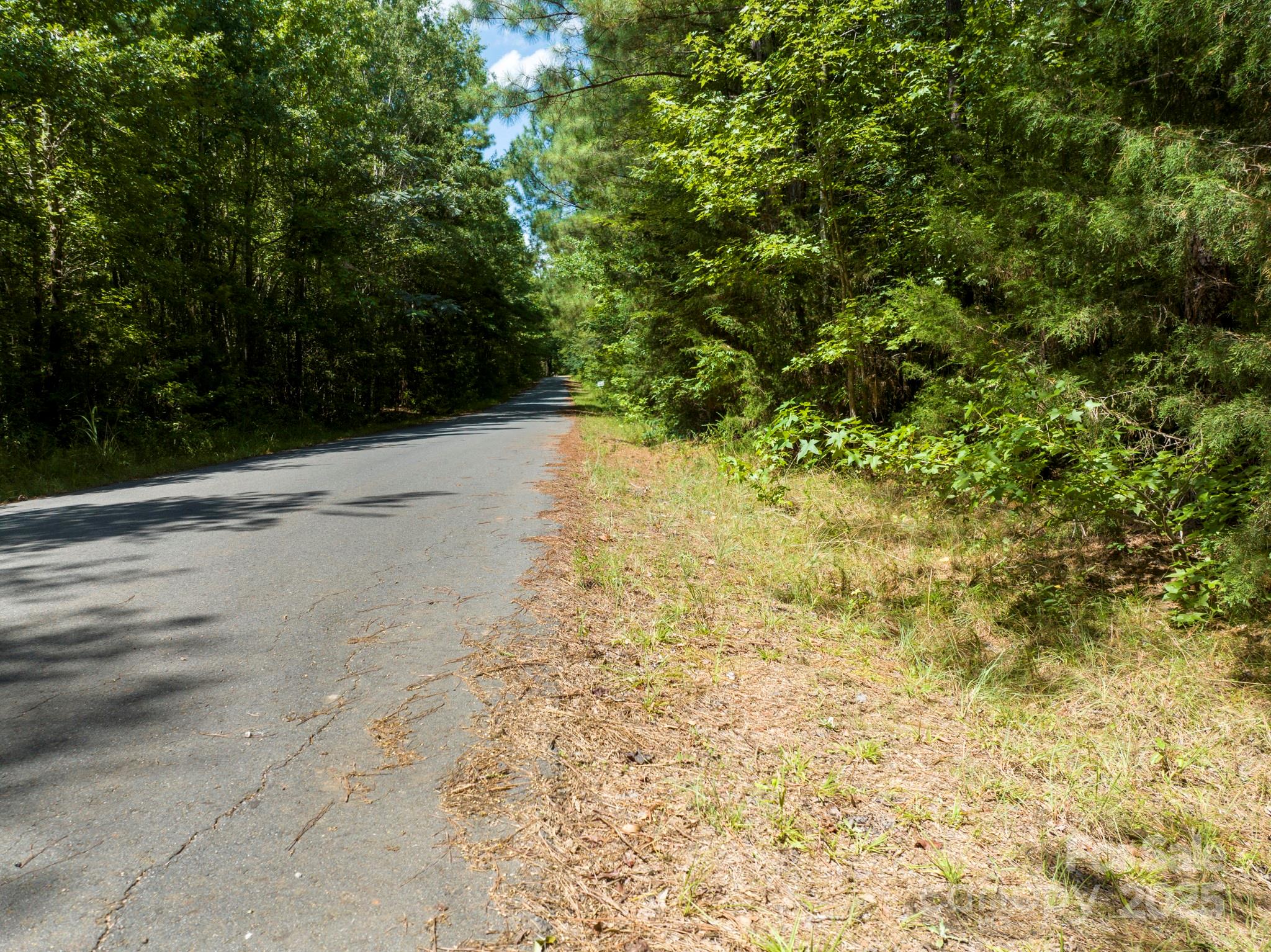 1 Setzler Road Laurens, SC 29360 - Photo 3 of 4 a view of a yard with trees