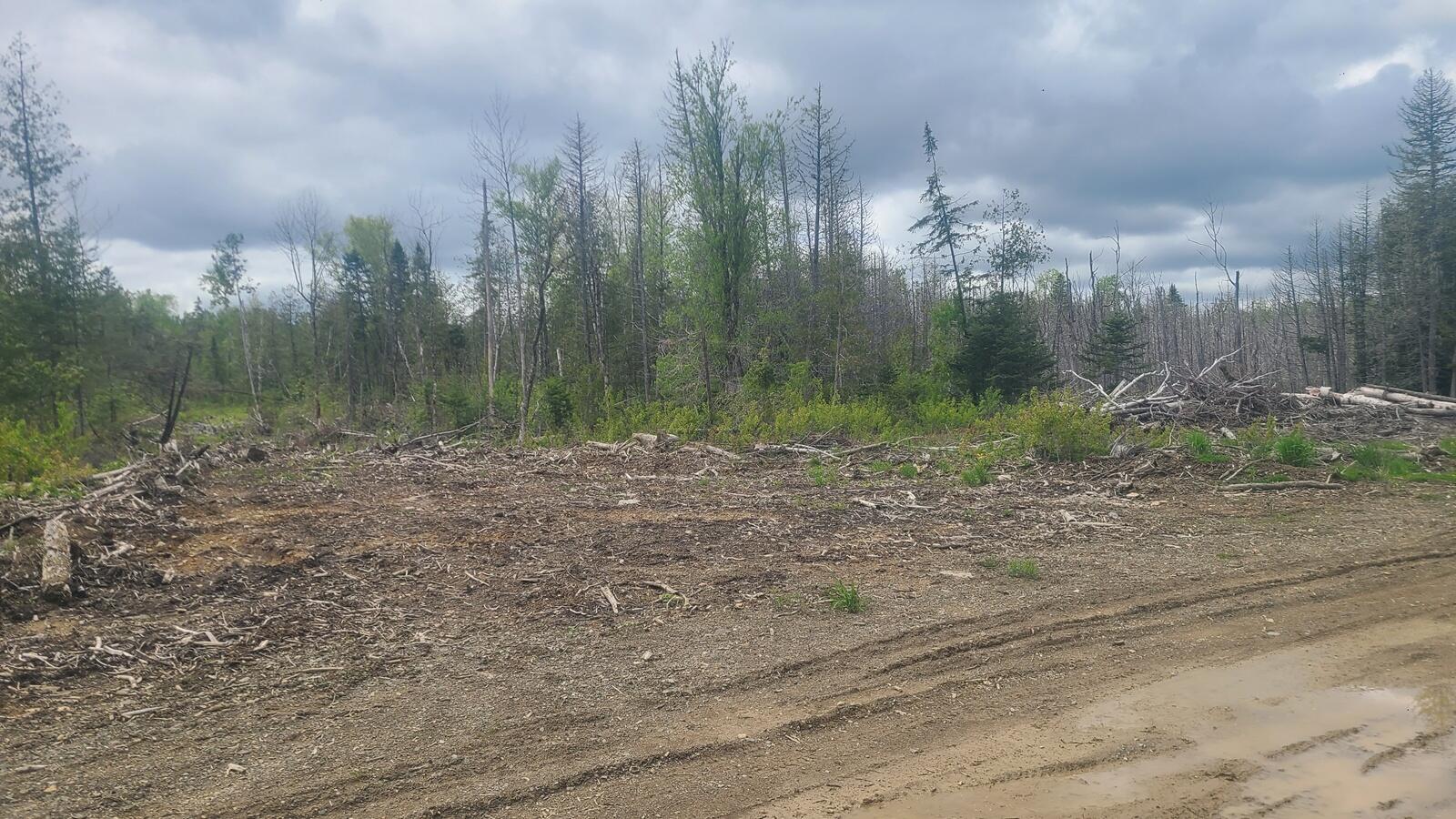 5-003-c Grendell Road Mapleton, ME 04757 - Photo 4 of 12 20260529_131053
