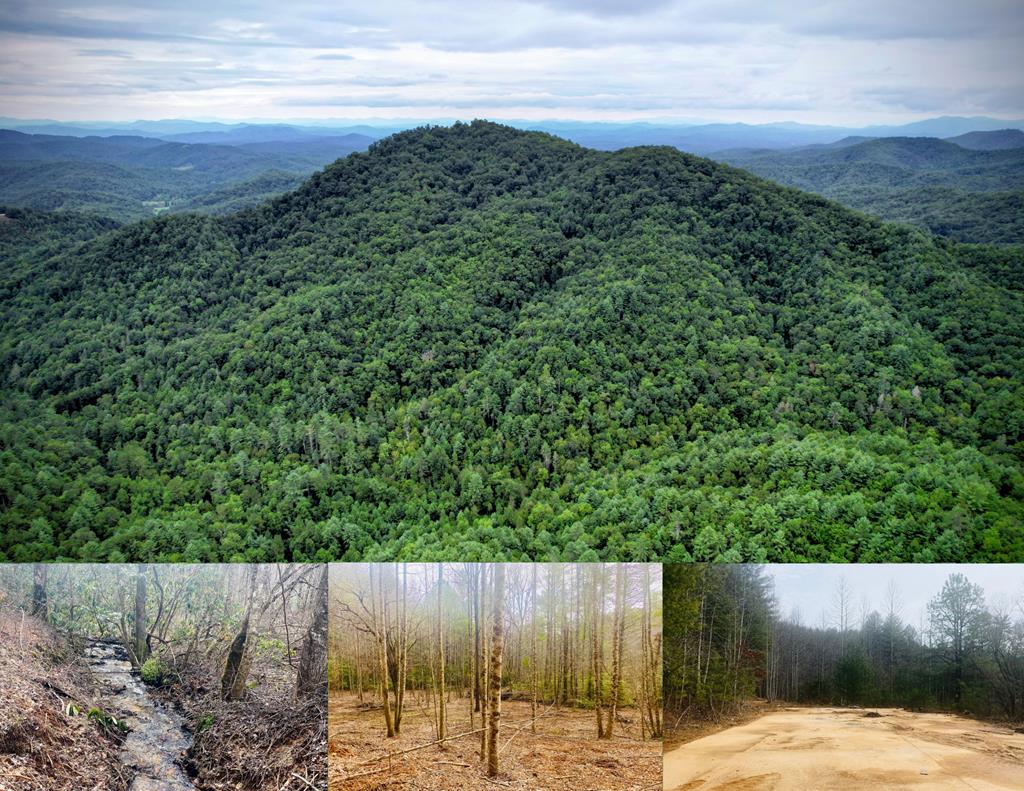 0 Flea Mountain Road Murphy, NC 28906 - Photo 1 of 54 Main View