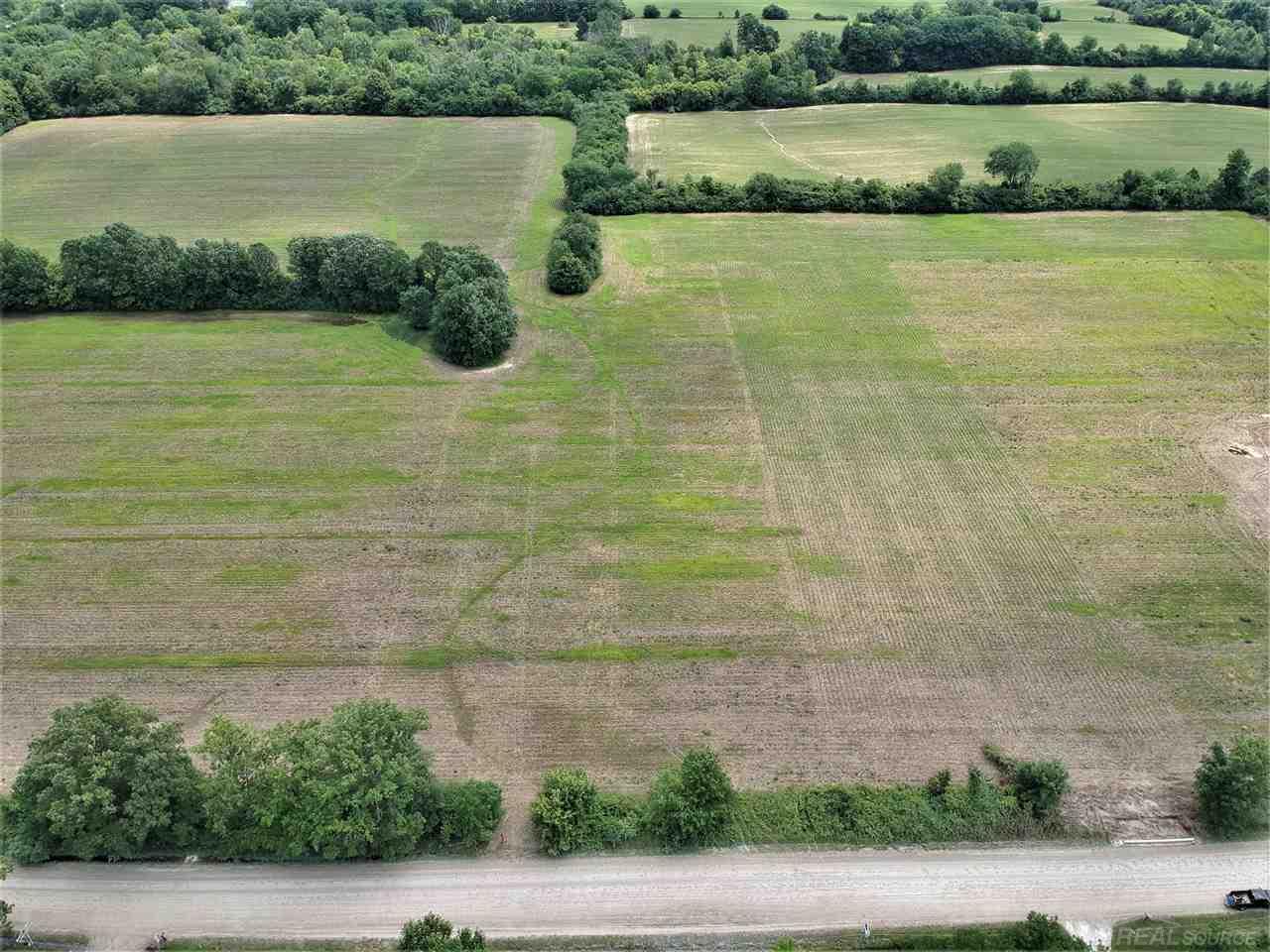 Parcel D Omo Road Richmond, MI 48062 - Photo 4 of 7
