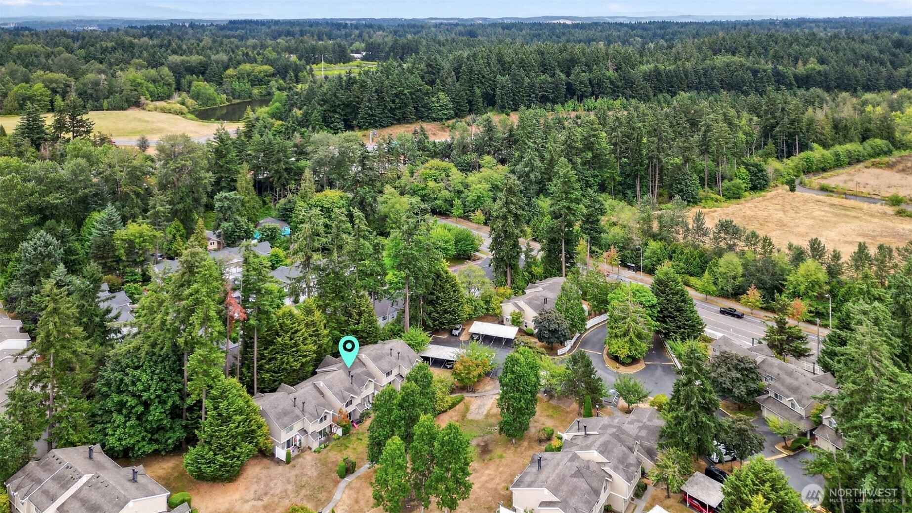 an aerial view of green landscape with trees houses and lake view
