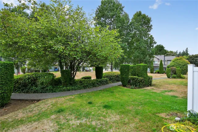 a view of a garden with a bench