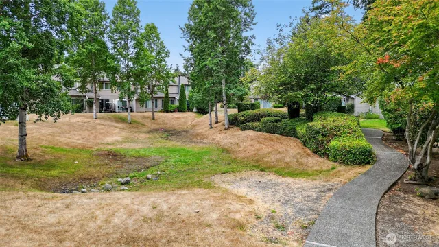 a view of a backyard with large trees