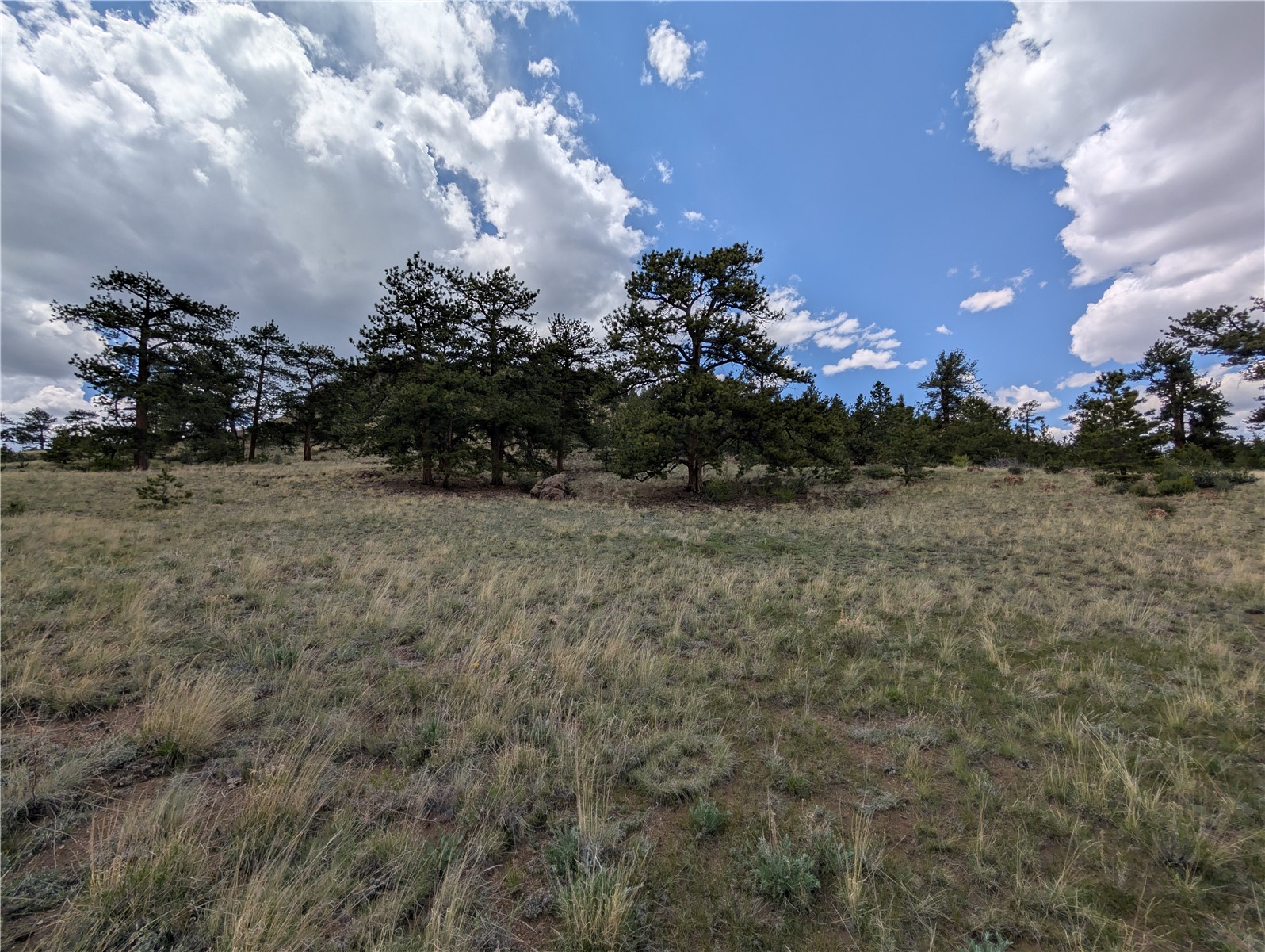 0 Black Beaver Road Hartsel, CO 80449 - Photo 5 of 28 Gallery Image 5