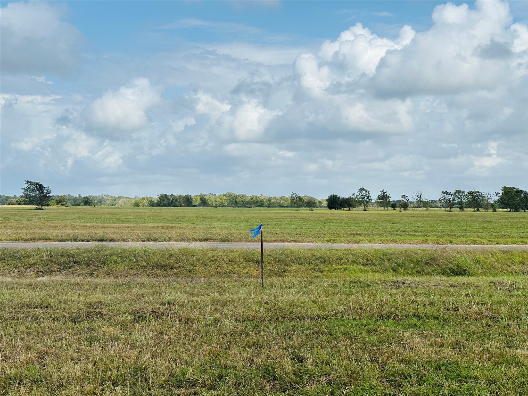 330 Sandy Trail Angleton, TX 77515 - Photo 5 of 13