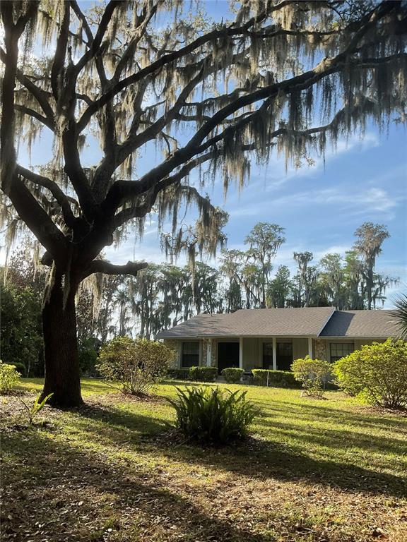 17005 Arrowhead Boulevard Winter Garden, FL 34787 - Photo 1 of 53 a front view of a house with a yard