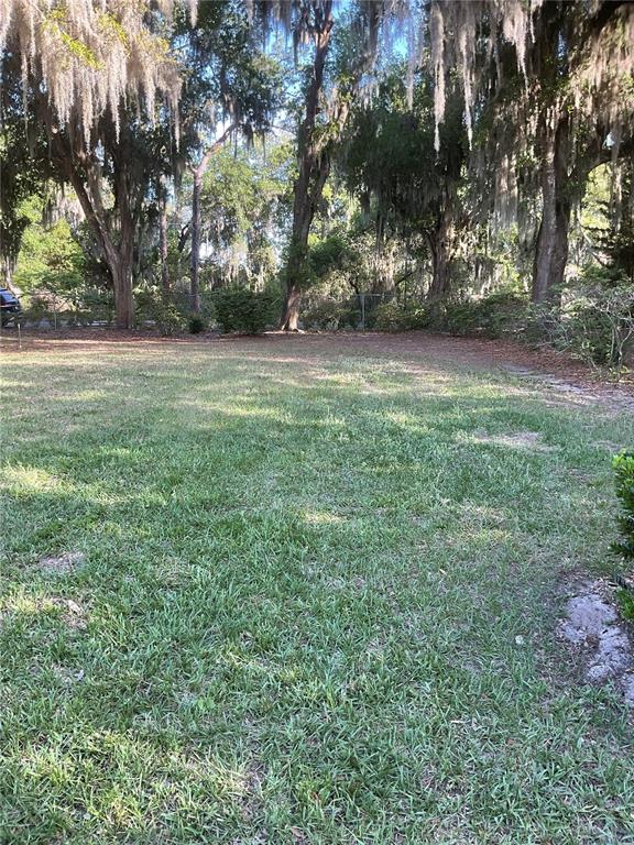 17005 Arrowhead Boulevard Winter Garden, FL 34787 - Photo 35 of 53 a view of a yard with a tree