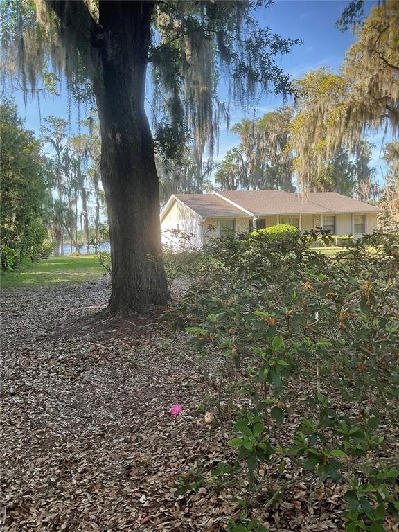 17005 Arrowhead Boulevard Winter Garden, FL 34787 - Photo 36 of 53 a backyard of a house with lots of green space