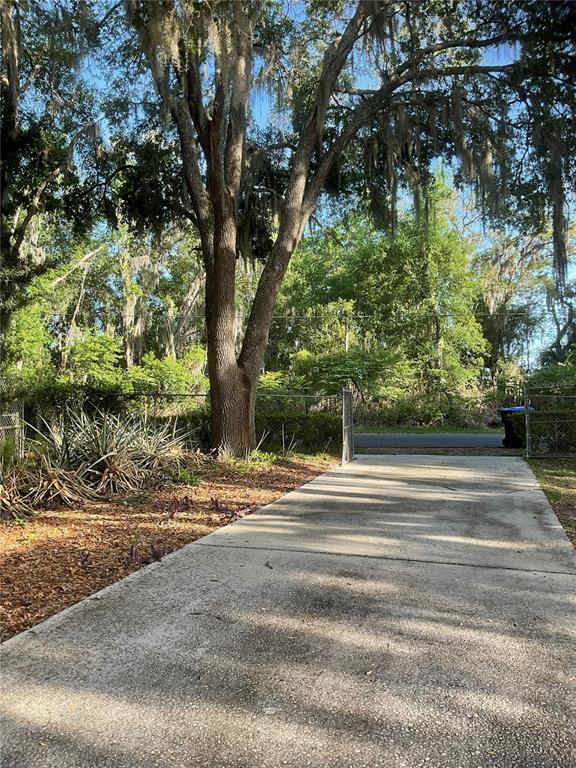 17005 Arrowhead Boulevard Winter Garden, FL 34787 - Photo 39 of 53 a view of a yard with plants and trees