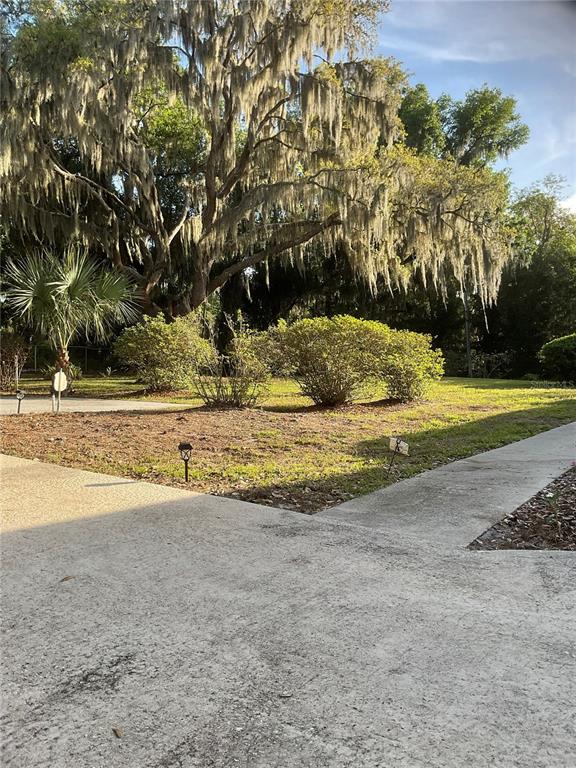 17005 Arrowhead Boulevard Winter Garden, FL 34787 - Photo 40 of 53 a view of a yard with large trees