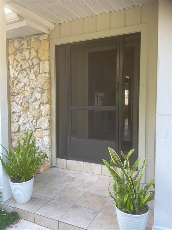17005 Arrowhead Boulevard Winter Garden, FL 34787 - Photo 46 of 53 a potted plant in front of a door