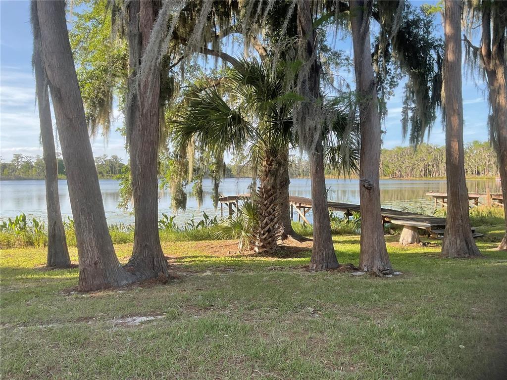 17005 Arrowhead Boulevard Winter Garden, FL 34787 - Photo 50 of 53 a view of outdoor space with garden