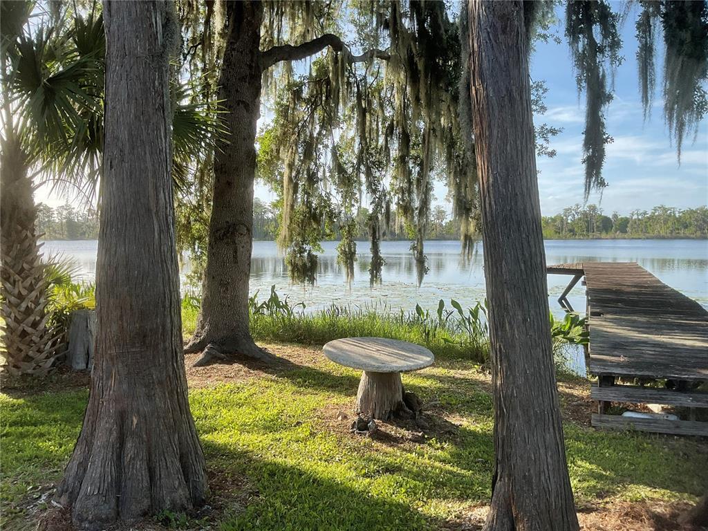 17005 Arrowhead Boulevard Winter Garden, FL 34787 - Photo 53 of 53 a view of a garden from a patio