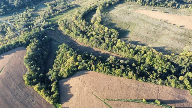 $369,000 | 27-ac Dougherty Creek, Argyle, WI 53504