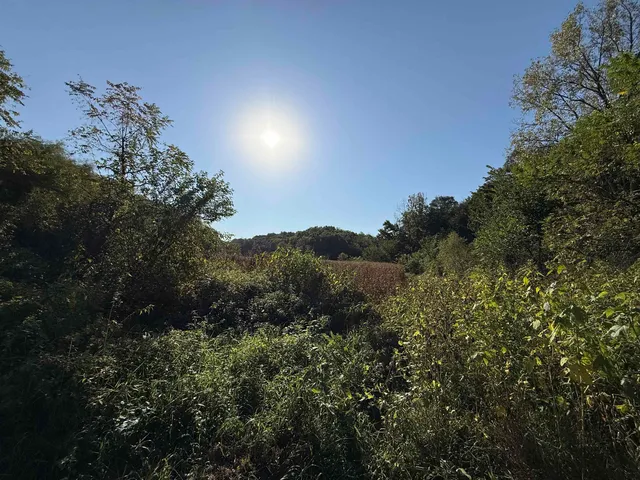 $369,000 | 27-ac Dougherty Creek, Argyle, WI 53504