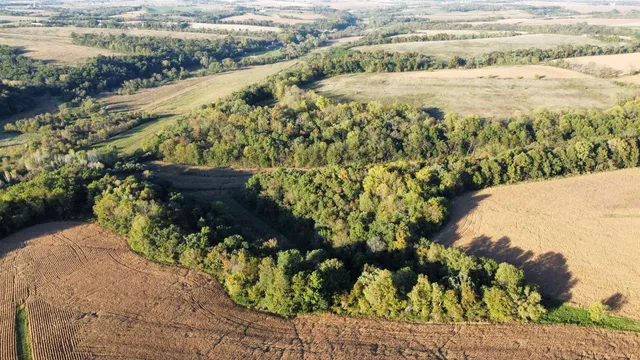 $369,000 | 27-ac Dougherty Creek, Argyle, WI 53504