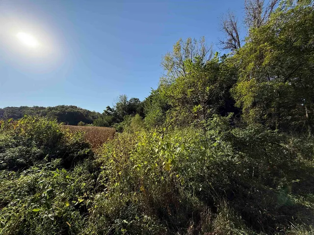 $369,000 | 27-ac Dougherty Creek, Argyle, WI 53504