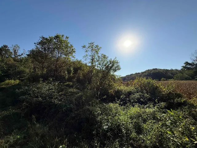 $369,000 | 27-ac Dougherty Creek, Argyle, WI 53504