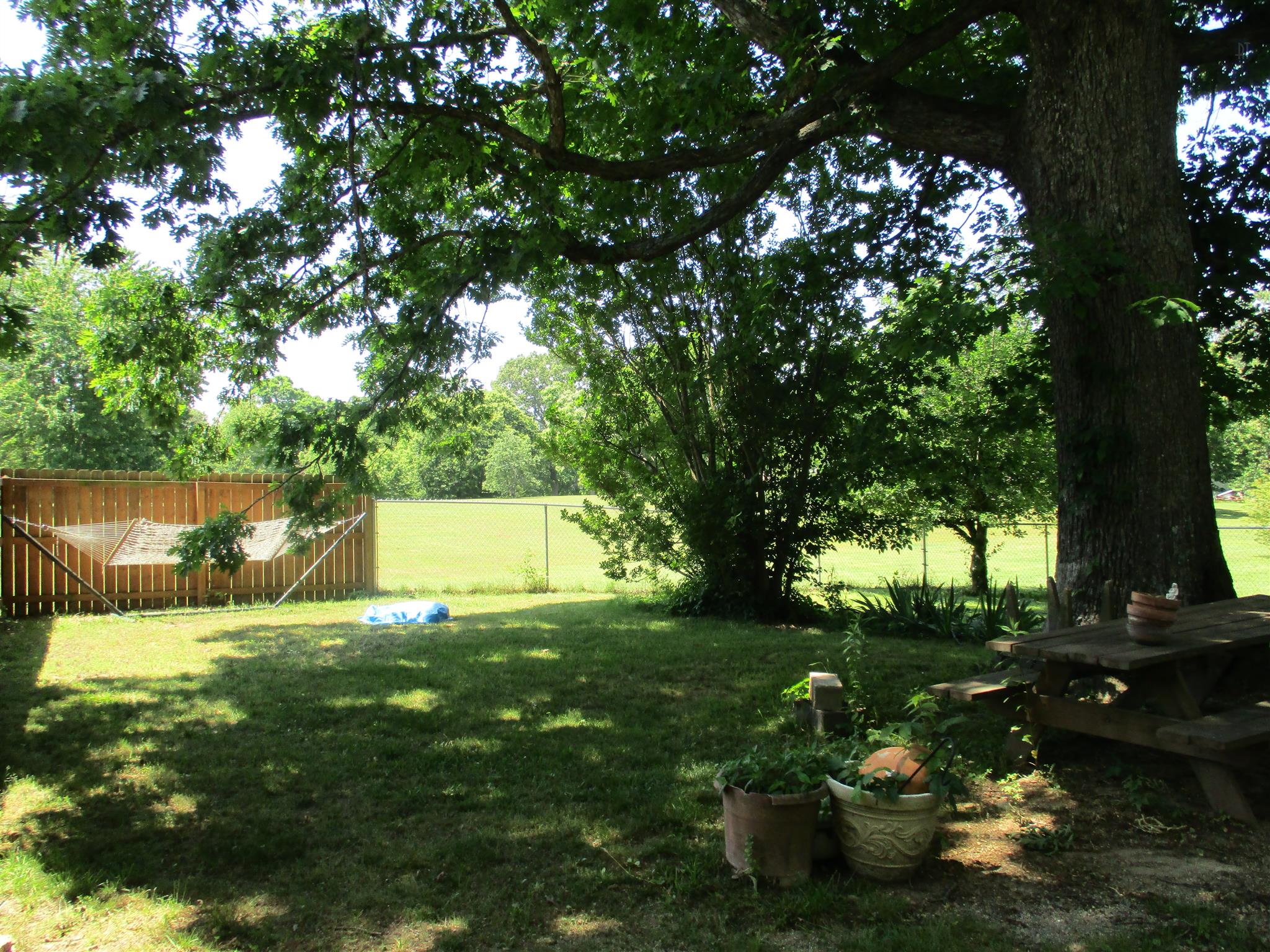 23 Ingram Road Leoma, TN 38468 - Photo 19 of 22 a view of a green field with lots of bushes