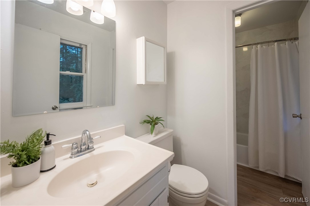 10313 Natural Bridge Road North Chesterfield, VA 23236 - Photo 19 of 31 a bathroom with a sink a mirror and a toilet