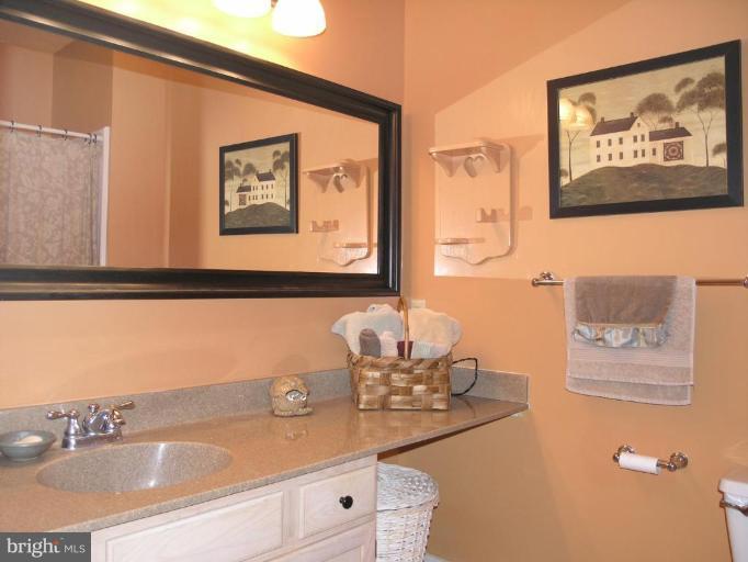 1724 Lake Shore Crest Drive, Unit 24 Reston, VA 20190 - Photo 12 of 21 Bath #1
