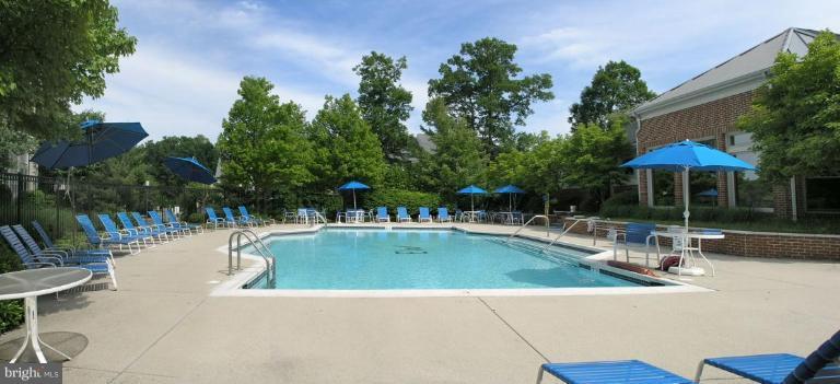 1724 Lake Shore Crest Drive, Unit 24 Reston, VA 20190 - Photo 17 of 21 Community Pool 1