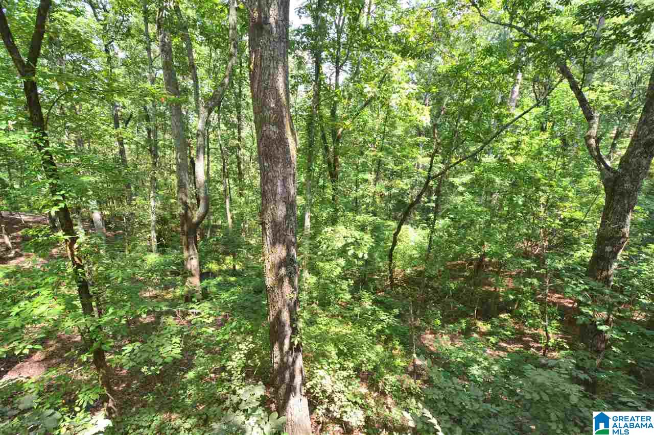 312 Sunset Ridge Helena, AL 35022 - Photo 8 of 50 Gallery Image 8