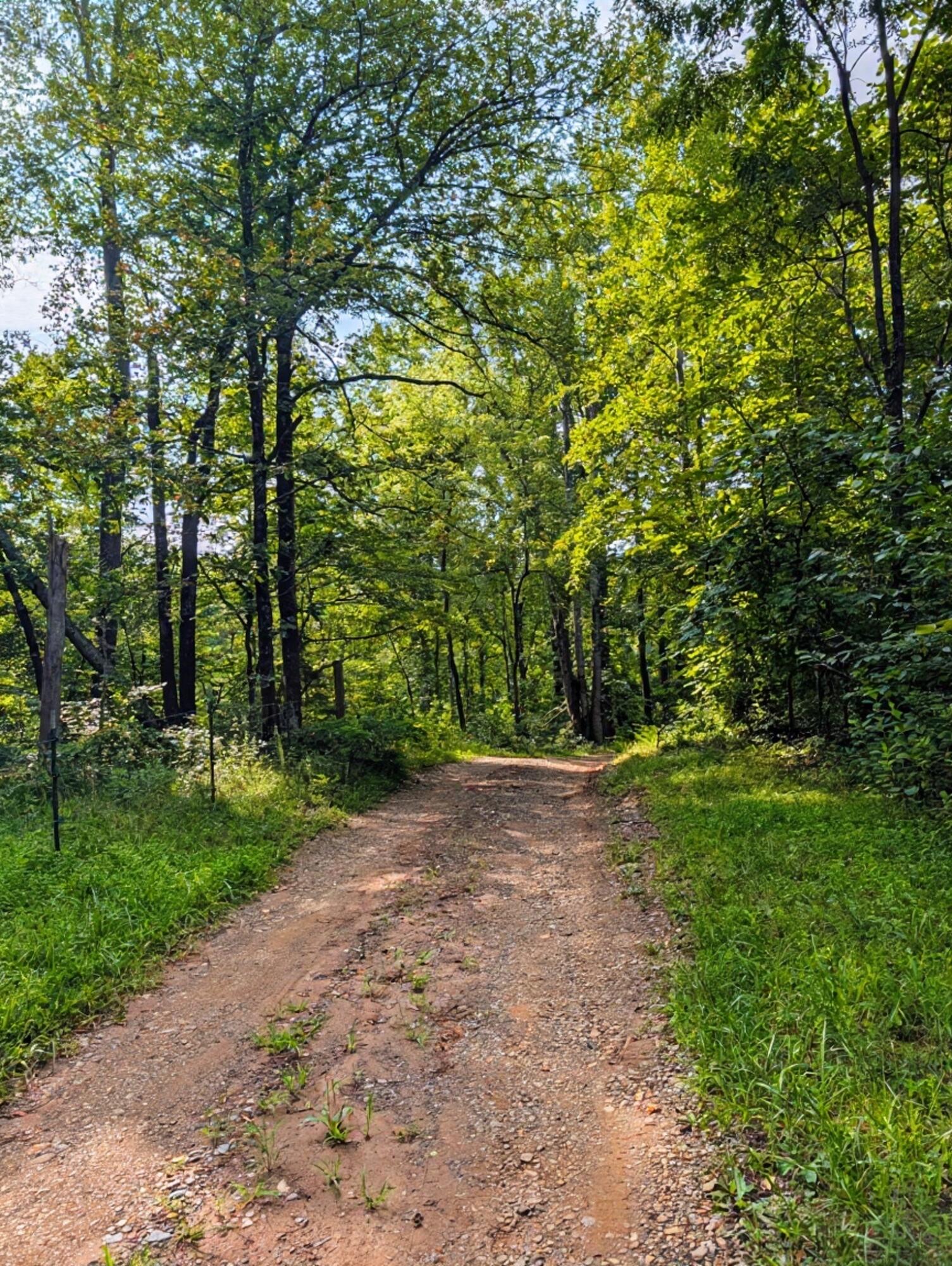 462 Rock Ridge Road Callaway, VA 24067 - Photo 2 of 18 IMG_9842