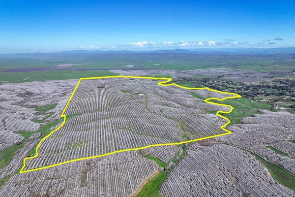 a view of a backyard with an ocean view